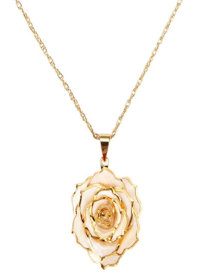 AliveRose Gold-Plated Necklace Gifts for Women, 24K Gold-Plated Real Rose Pendant Necklace Mothers Day Anniversaries Birthday Christmas Valentine's Day Gifts for Her (Ivory) - Image 1